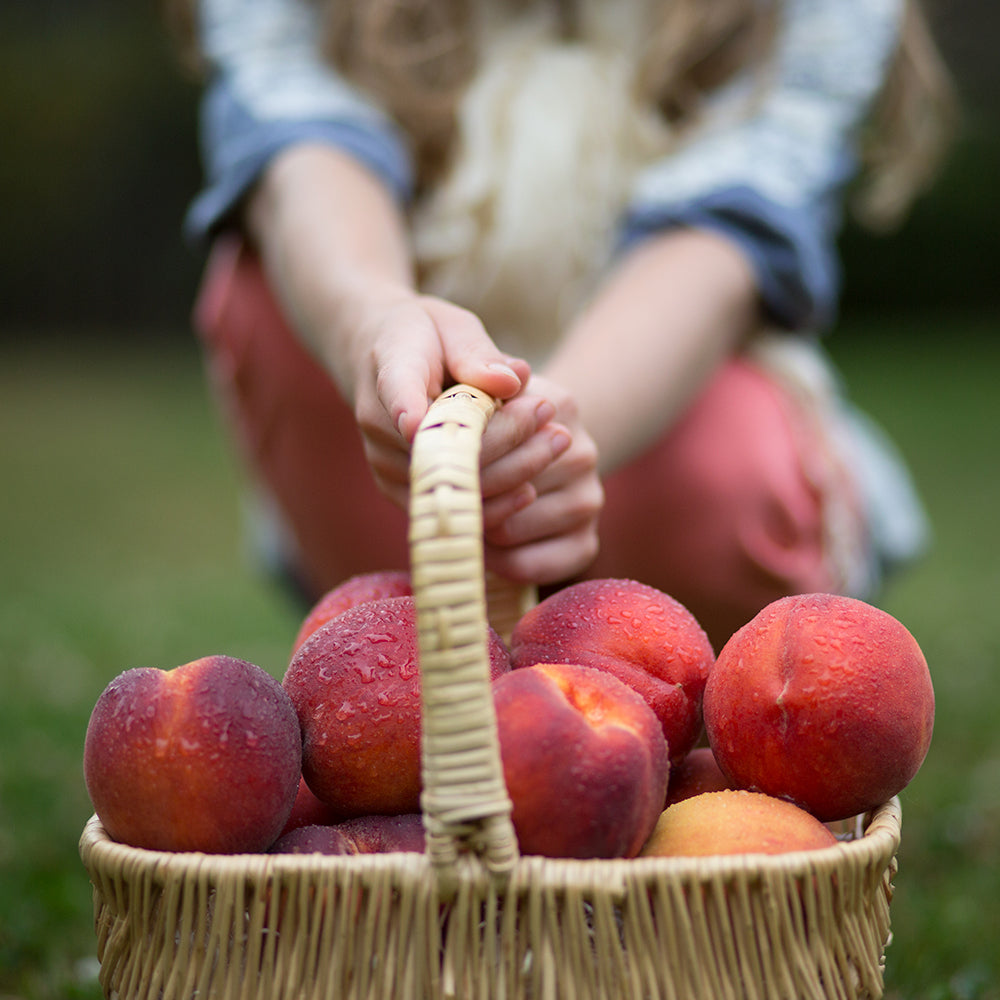 Pacific Northwest Peaches