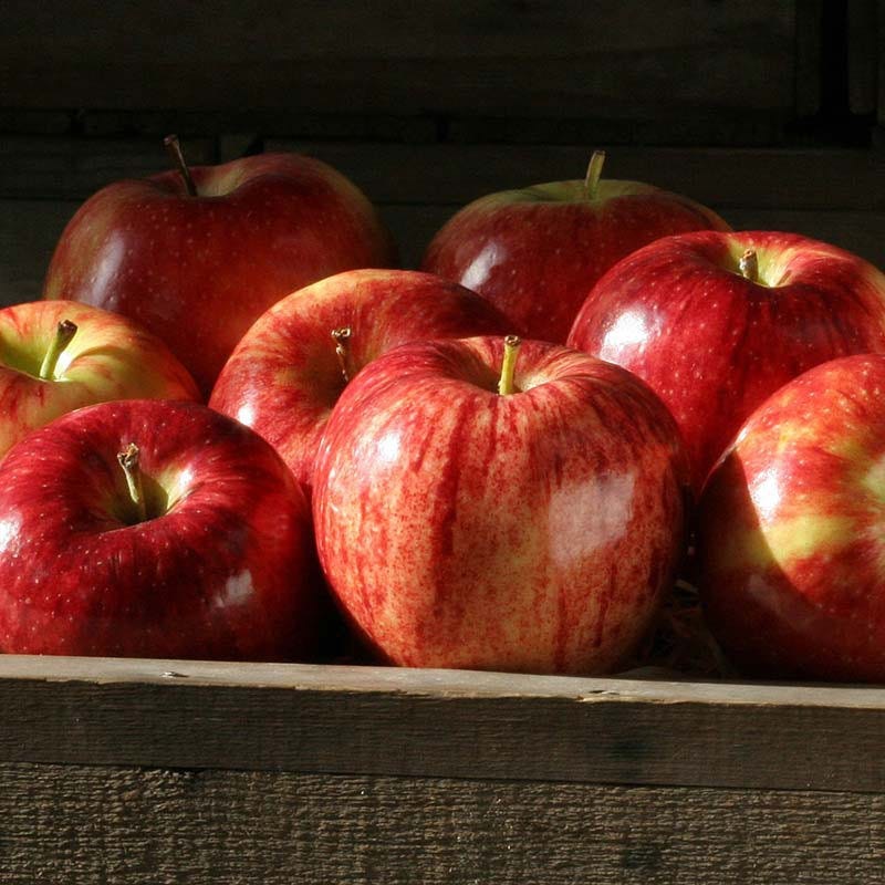 Royal Gala Apples