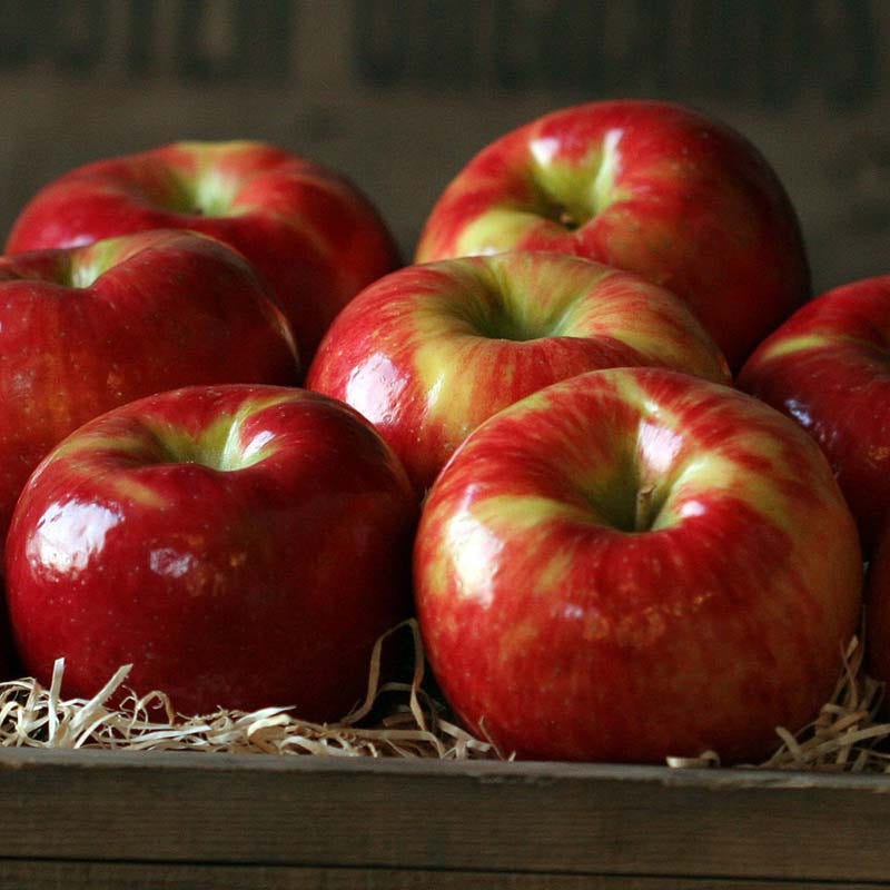 Honeycrisp Apples