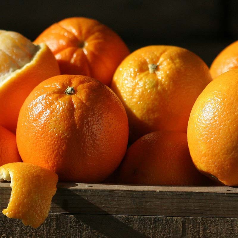 Malibu Navel Oranges