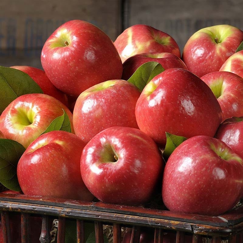 Pink Lady® Apples