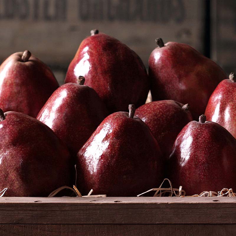 Columbia Red Pears