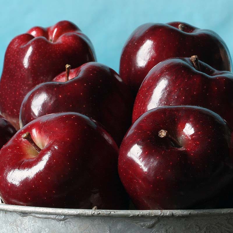 Royal Red Apples