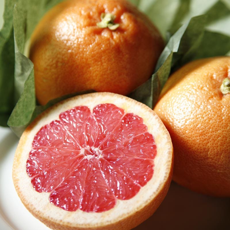 Red Grapefruit