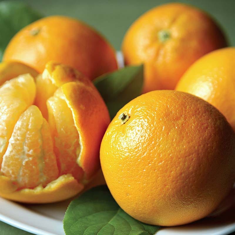 Valencia Oranges